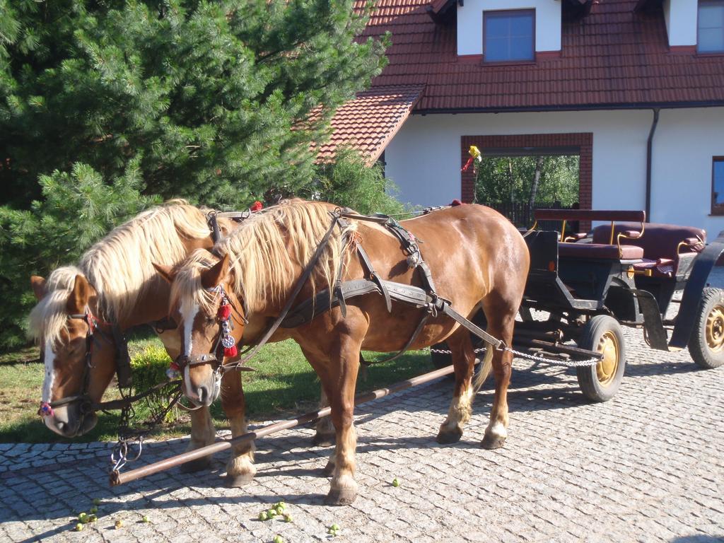 Sloneczne Siedlisko * Вонгліковіце
